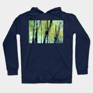 Autumn ~ Sun-dappled trees Hoodie